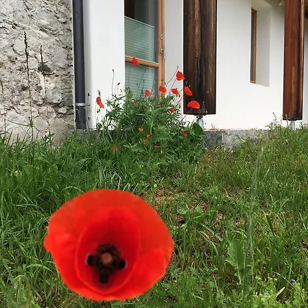 Apartment Der Weber - Haus Der Zukunft *