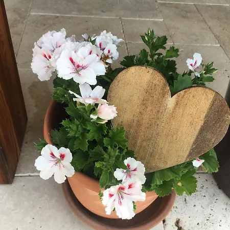 Der Weber - Haus Der Zukunft Lejlighed Hermagor-Pressegger See