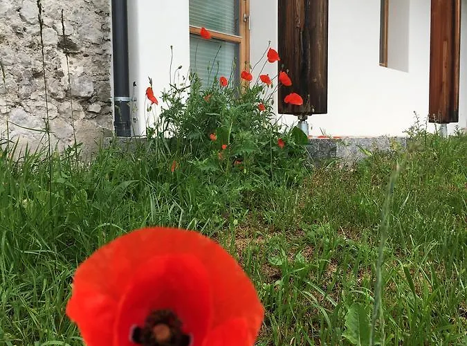 Apartman Der Weber - Haus Der Zukunft *